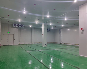 溫州防爆冷庫(kù)建造費(fèi)用多少錢？