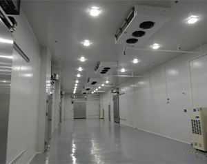 生物樣本冷庫、試劑冷庫建造主要需要哪些設備？