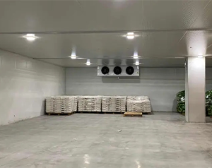 5000噸果蔬氣調(diào)庫項(xiàng)目造價(jià)大概在多少錢？