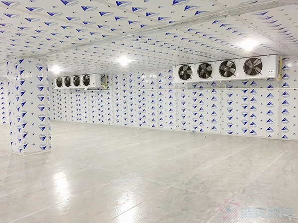 建一個冷凍庫造價需要多少錢一平方？
